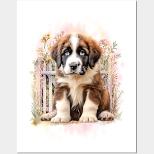 Dog - St. Bernard puppy Posters and Art